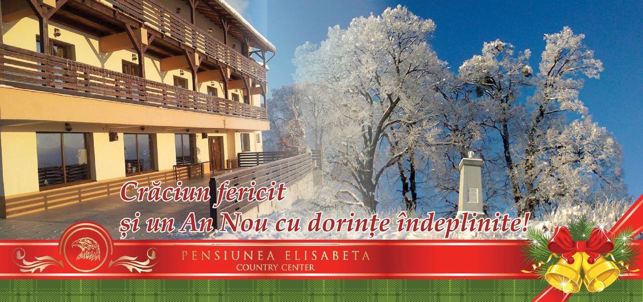 Pensiunea Elisabeta Merghindeal Екстериор снимка
