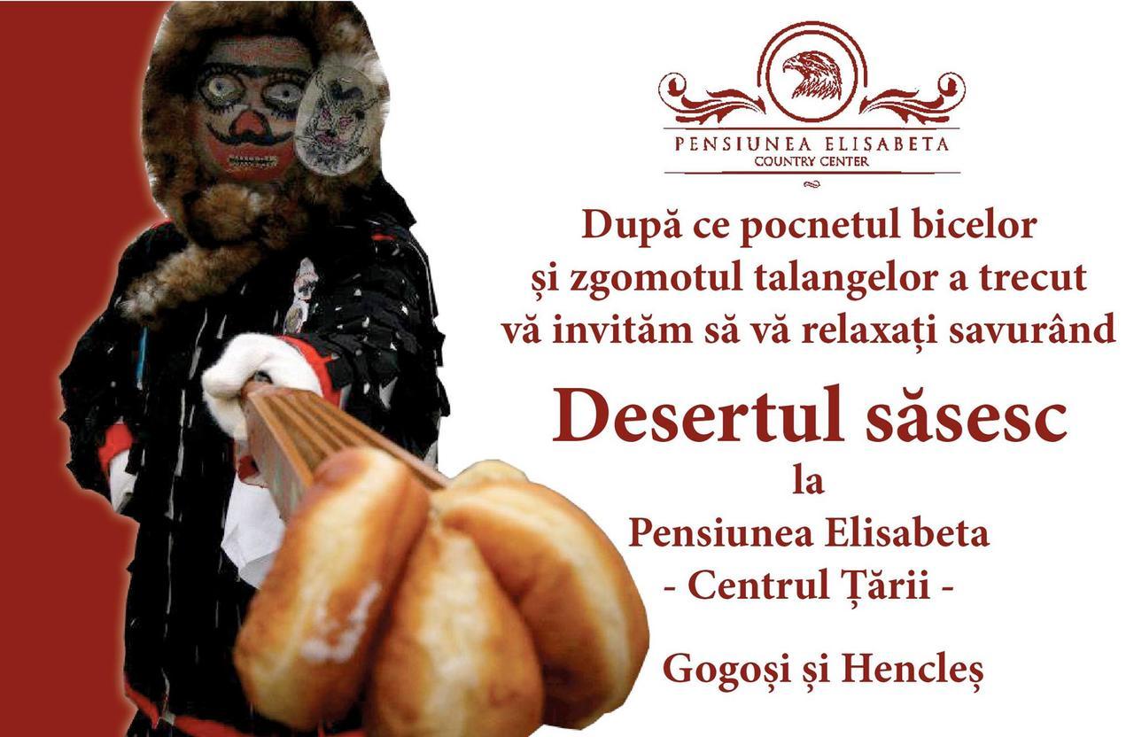 Pensiunea Elisabeta Merghindeal Екстериор снимка