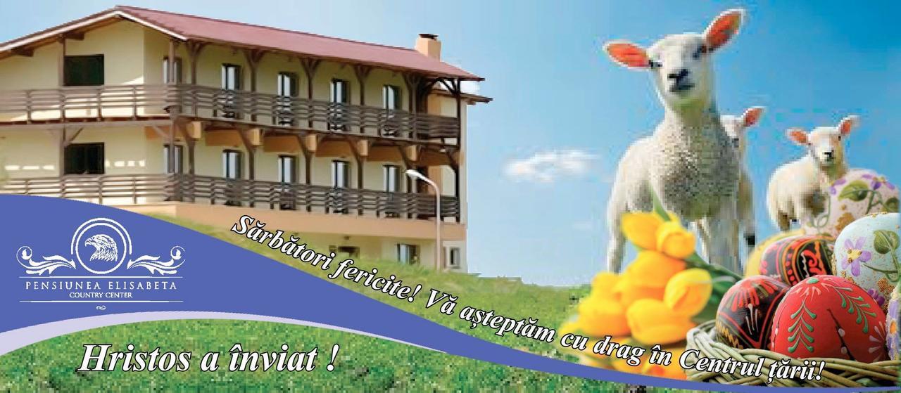 Pensiunea Elisabeta Merghindeal Екстериор снимка